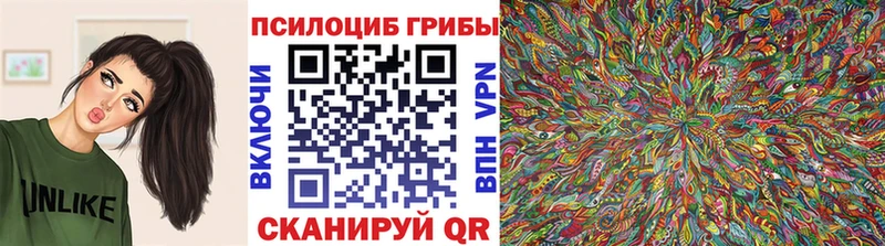 Галлюциногенные грибы Cubensis Межгорье